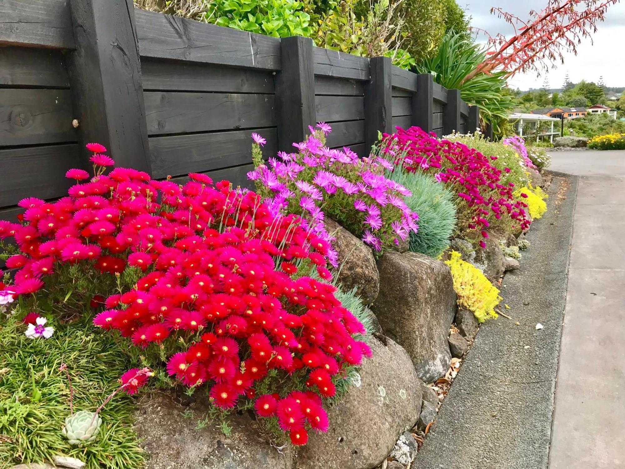 Ferienwohnung Sunset Point Kerikeri Exterior foto